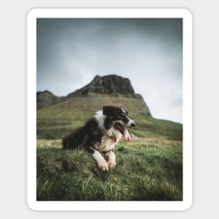 Flinka The Dog (Faroe Islands) Sticker